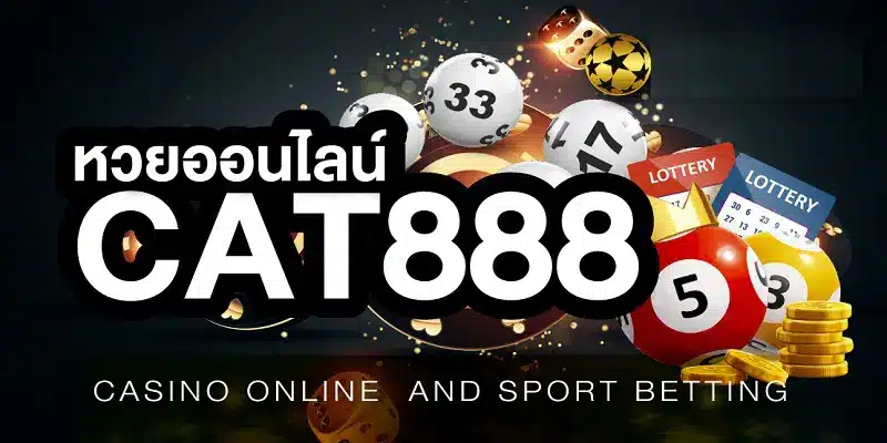 cat888